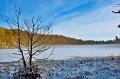 Castle Lake, Rossmore Forest Park